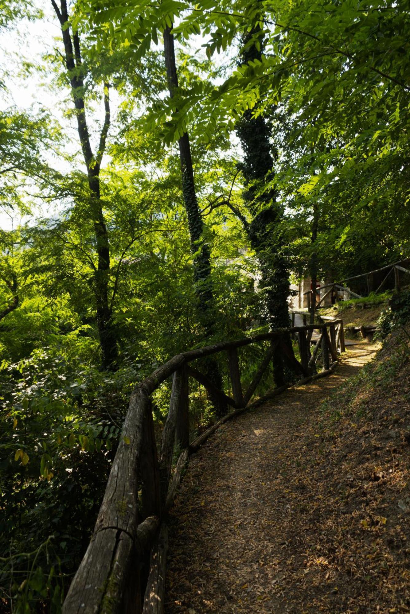 Borgo Del Sole Agriturismo Poggio (Lucca) Exterior foto
